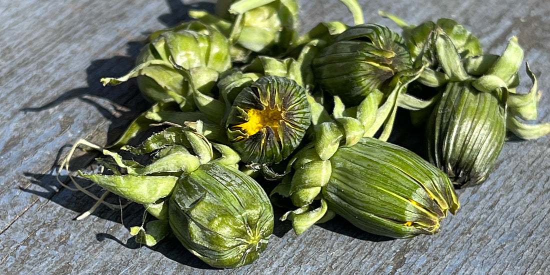 Rugbrød med mælkebøtter