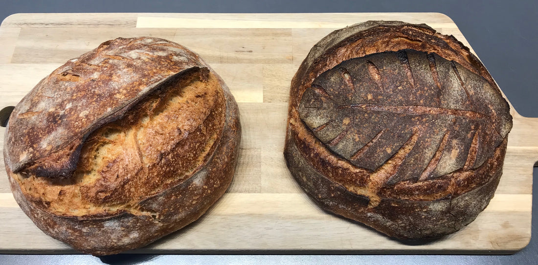 Surdejsbrød med flødeost, honning, citronskal og frisk rosmarin