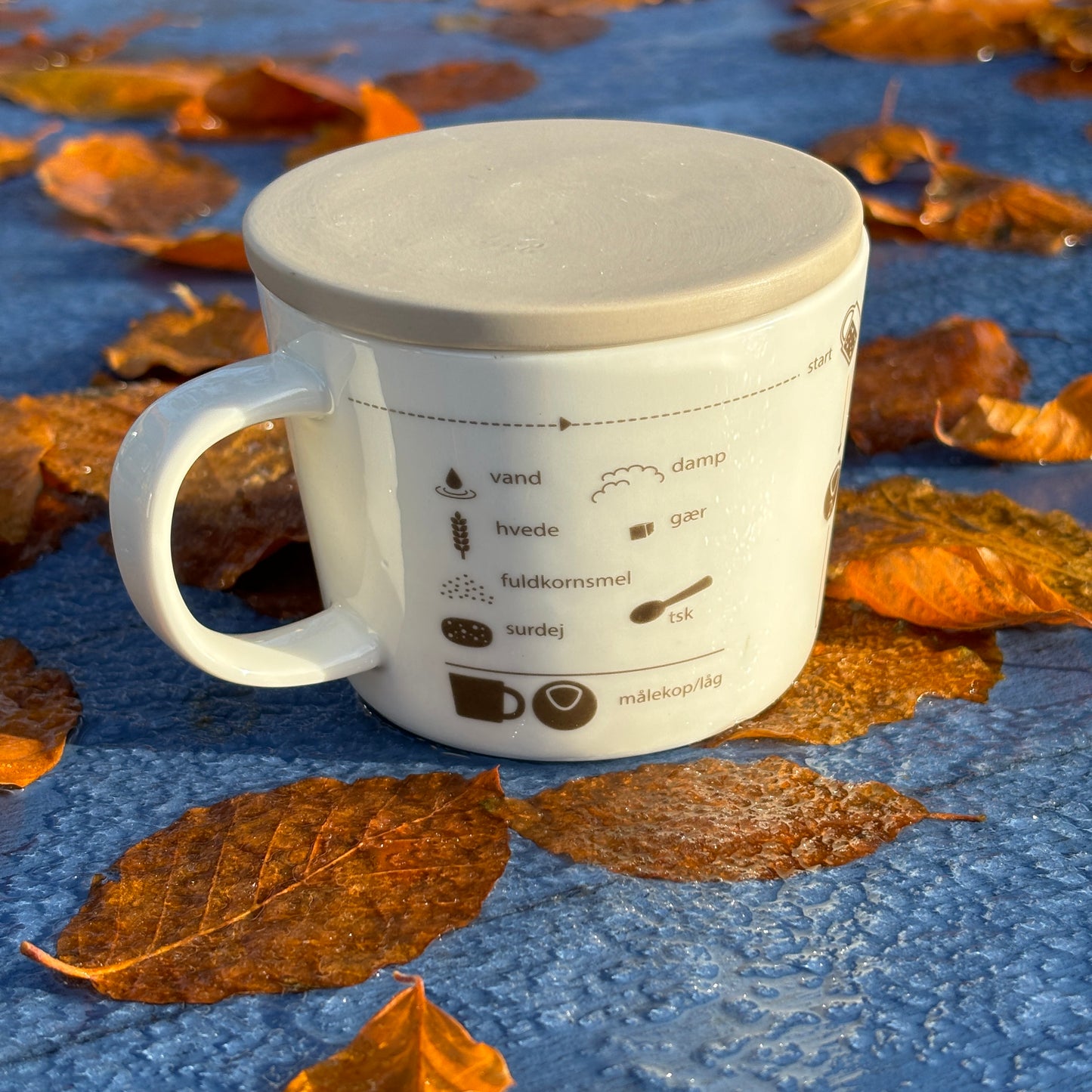 Sourdough cup + online course
